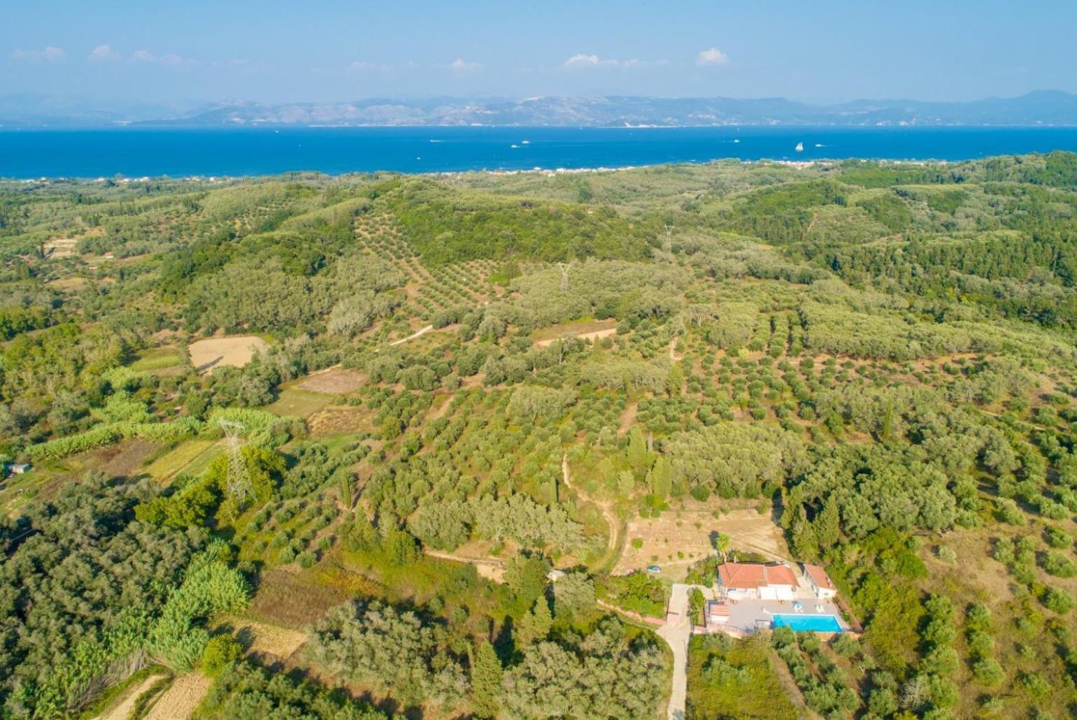 Villa Psaropouli Dragotiná Exterior foto